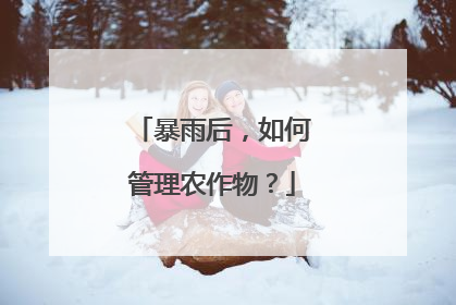 暴雨后，如何管理农作物？