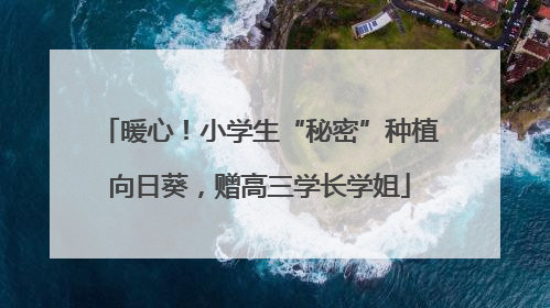 暖心！小学生“秘密”种植向日葵，赠高三学长学姐