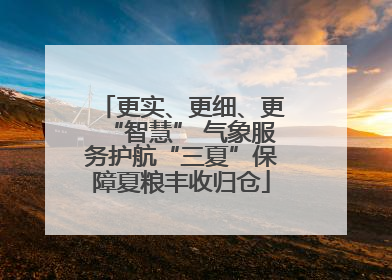 更实、更细、更“智慧” 气象服务护航“三夏”保障夏粮丰收归仓