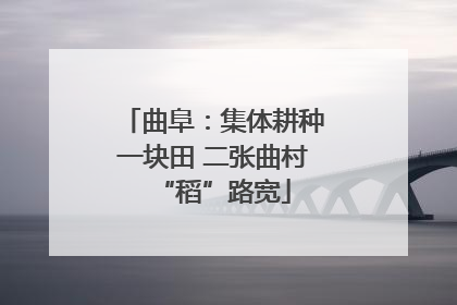 曲阜：集体耕种一块田 二张曲村“稻”路宽