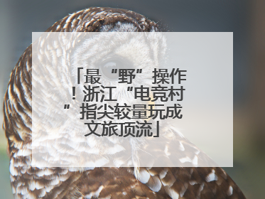 最“野”操作！浙江“电竞村”指尖较量玩成文旅顶流