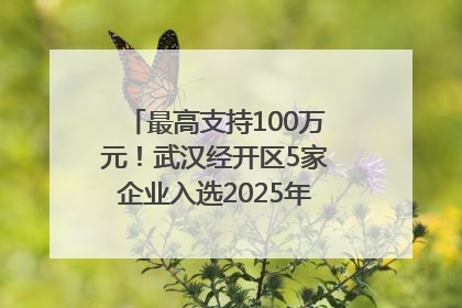 最高支持100万元！武汉经开区5家企业入选2025年度武汉市重点研发计划拟立项项目名单