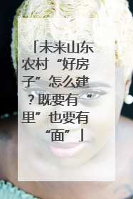 未来山东农村“好房子”怎么建？既要有“里”也要有“面”