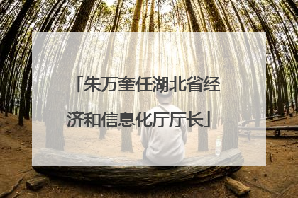 朱万奎任湖北省经济和信息化厅厅长