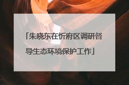 朱晓东在忻府区调研督导生态环境保护工作