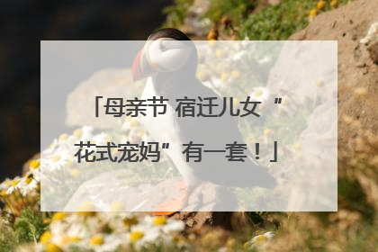 母亲节 宿迁儿女“花式宠妈”有一套！