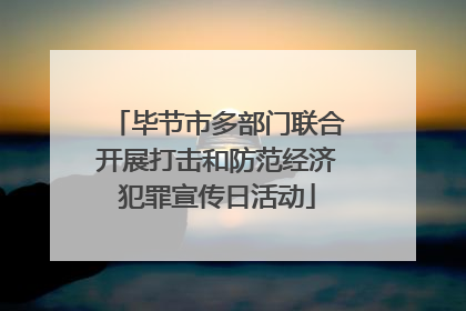 毕节市多部门联合开展打击和防范经济犯罪宣传日活动