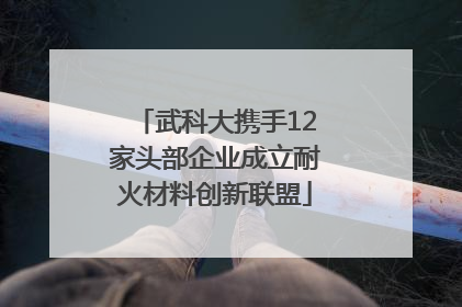 武科大携手12家头部企业成立耐火材料创新联盟
