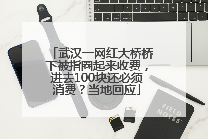 武汉一网红大桥桥下被指圈起来收费，进去100块还必须消费？当地回应