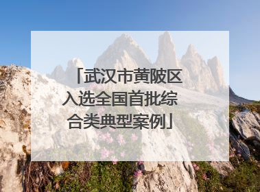 武汉市黄陂区入选全国首批综合类典型案例