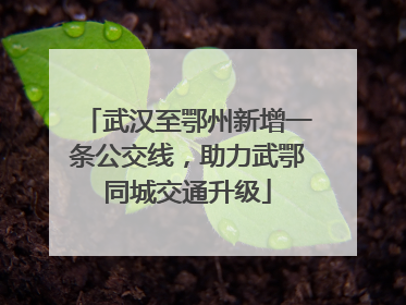 武汉至鄂州新增一条公交线，助力武鄂同城交通升级