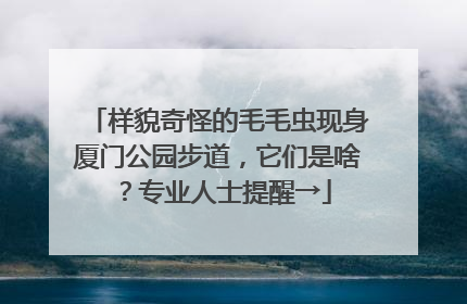样貌奇怪的毛毛虫现身厦门公园步道，它们是啥？专业人士提醒→