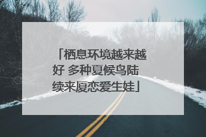 栖息环境越来越好 多种夏候鸟陆续来厦恋爱生娃