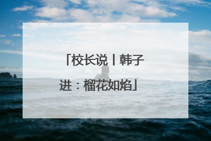 校长说丨韩子进：榴花如焰