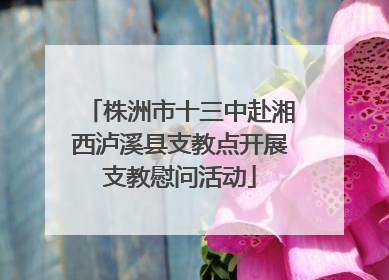株洲市十三中赴湘西泸溪县支教点开展支教慰问活动