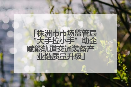 株洲市市场监管局“大手拉小手”助企赋能轨道交通装备产业链质量升级