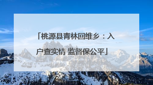 桃源县青林回维乡：入户查实情 监督保公平