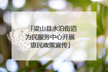 梁山县水泊街道为民服务中心开展惠民政策宣传
