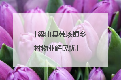 梁山县韩垓镇乡村物业解民忧