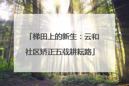 梯田上的新生：云和社区矫正五载耕耘路