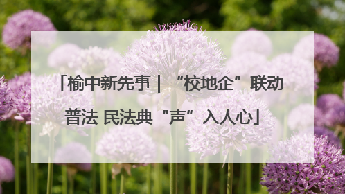 榆中新先事｜“校地企”联动普法 民法典“声”入人心