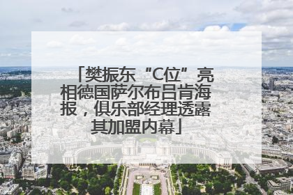 樊振东“C位”亮相德国萨尔布吕肯海报，俱乐部经理透露其加盟内幕