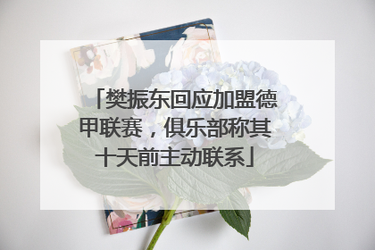 樊振东回应加盟德甲联赛，俱乐部称其十天前主动联系