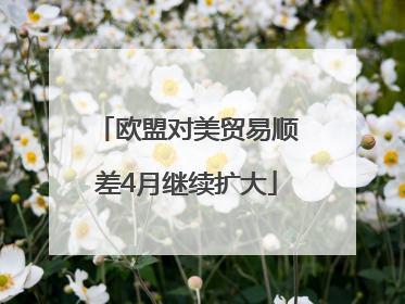 欧盟对美贸易顺差4月继续扩大