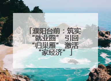 濮阳台前：筑实“就业圈” 引回“归巢雁” 激活“家经济”