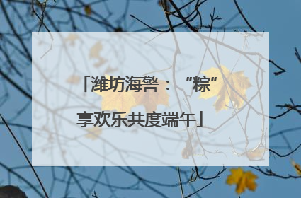 潍坊海警：“粽”享欢乐共度端午