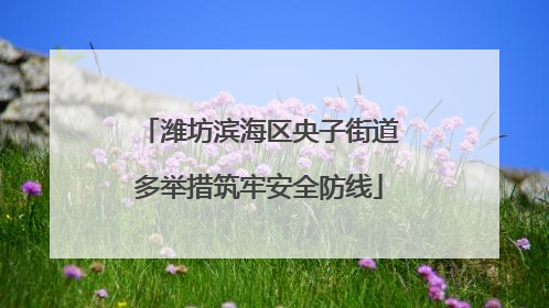潍坊滨海区央子街道多举措筑牢安全防线