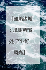 潍坊诸城：瓜甜葱郁处 产业好风光