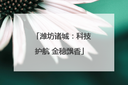 潍坊诸城：科技护航 金穗飘香