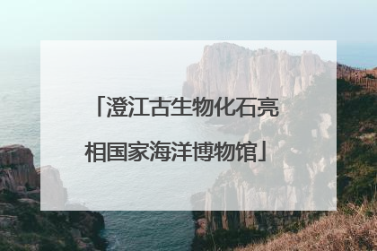 澄江古生物化石亮相国家海洋博物馆