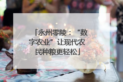 永州零陵：“数字农业”让现代农民种粮更轻松