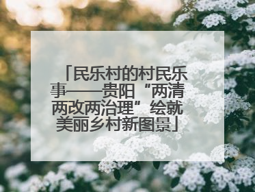 民乐村的村民乐事——贵阳“两清两改两治理”绘就美丽乡村新图景
