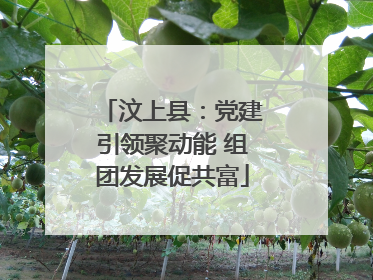 汶上县：党建引领聚动能 组团发展促共富