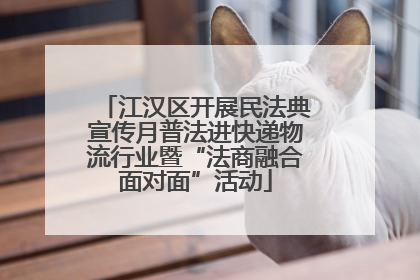 江汉区开展民法典宣传月普法进快递物流行业暨“法商融合面对面”活动