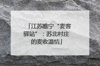 江苏睢宁“麦客驿站”：苏北村庄的麦收温情