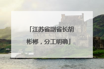 江苏省副省长胡彬郴，分工明确