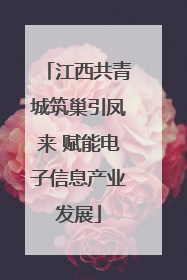江西共青城筑巢引凤来 赋能电子信息产业发展