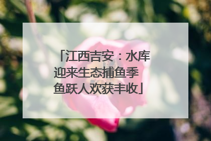 江西吉安：水库迎来生态捕鱼季 鱼跃人欢获丰收
