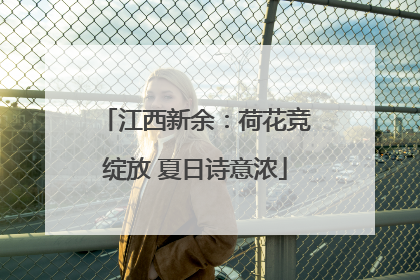 江西新余：荷花竞绽放 夏日诗意浓
