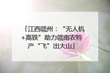 江西赣州：“无人机+高铁”助力赣南农特产“飞”出大山