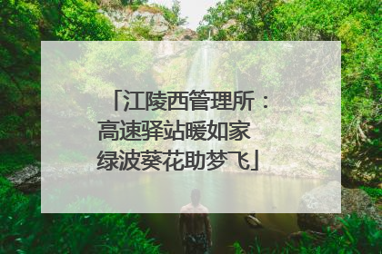 江陵西管理所：高速驿站暖如家 绿波葵花助梦飞