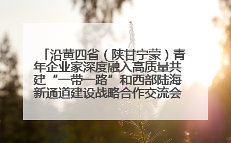 沿黄四省（陕甘宁蒙）青年企业家深度融入高质量共建“一带一路”和西部陆海新通道建设战略合作交流会在甘肃兰州召开