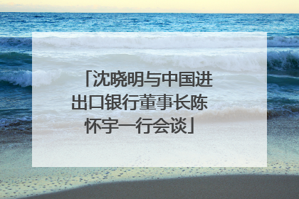 沈晓明与中国进出口银行董事长陈怀宇一行会谈