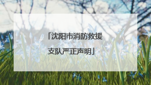 沈阳市消防救援支队严正声明