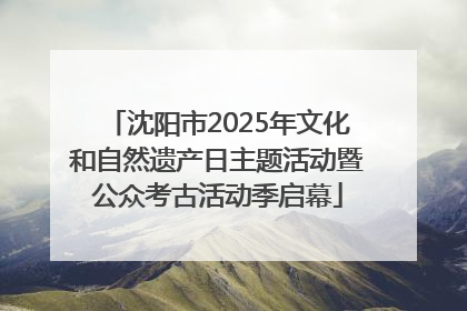沈阳市2025年文化和自然遗产日主题活动暨公众考古活动季启幕