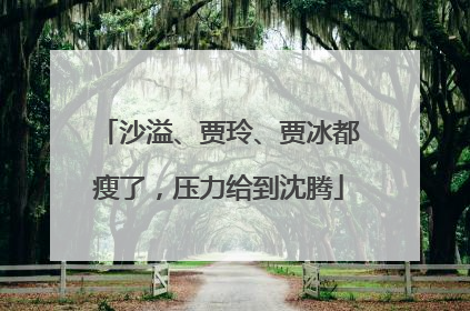 沙溢、贾玲、贾冰都瘦了，压力给到沈腾
